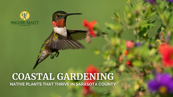 Coastal Gardening: Native Plants That Thrive in Sarasota County | Wagner Realty