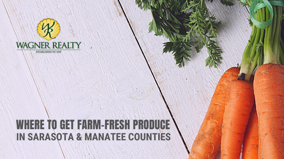 Produce Stands in Bradenton